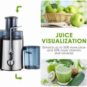 Juice extractor