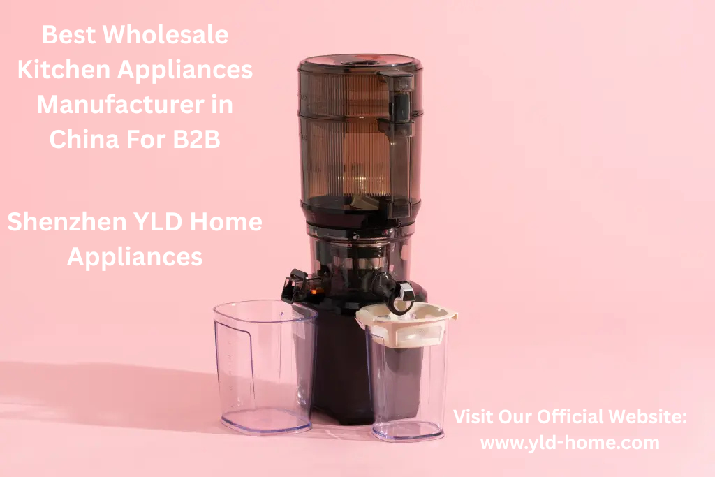 Top 7 Best Juice Extractor Machine Brands in South Africa 2 image 13 - YLD™
